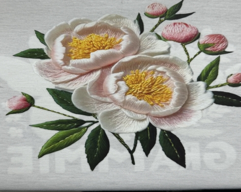 新的印刷解决方案：DTF 刺绣效果印刷。