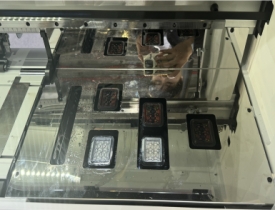 5/6 Epson I3200-A1 打印头